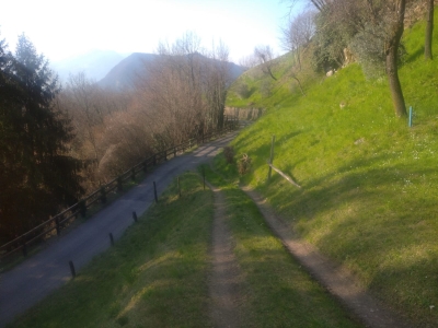 immagine annuncio 7 di 9