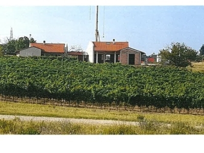 immagine annuncio 8 di 9