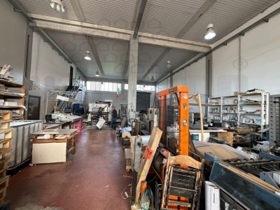 immagine annuncio 4 di 9