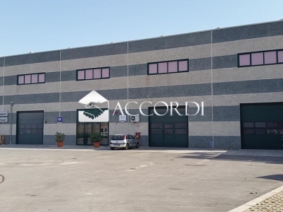 immagine annuncio 3 di 9