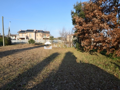 immagine annuncio 2 di 9
