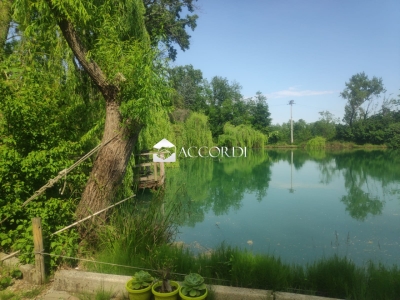 immagine annuncio 1 di 8