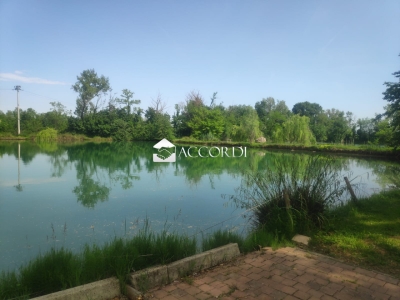 immagine annuncio 6 di 8