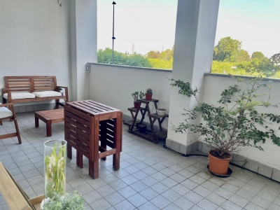 immagine annuncio 5 di 9