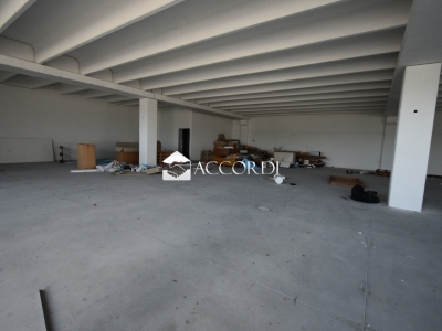 immagine annuncio 3 di 9