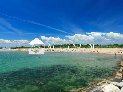 immagine annuncio 7 di 9