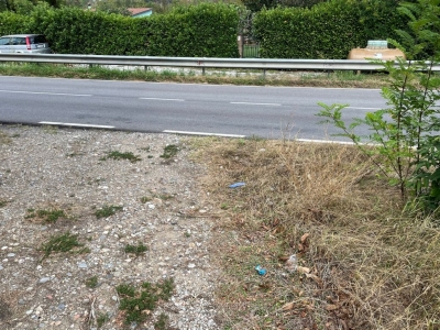 immagine annuncio 5 di 6