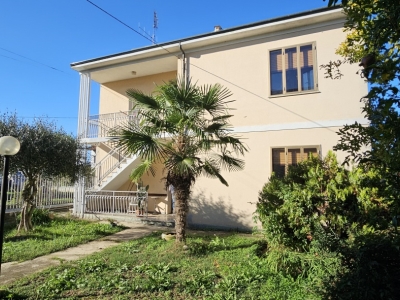 immagine annuncio 4 di 9