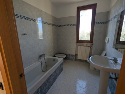 immagine annuncio 6 di 8