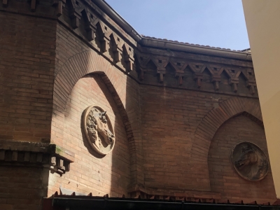 immagine annuncio 5 di 9