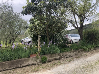 immagine annuncio 3 di 9