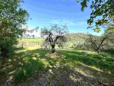 immagine annuncio 1 di 9