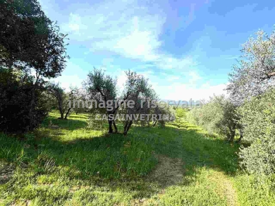 immagine annuncio 3 di 9