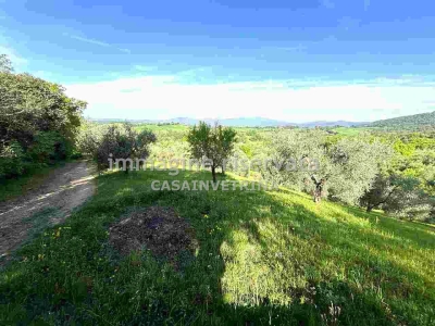 immagine annuncio 4 di 9