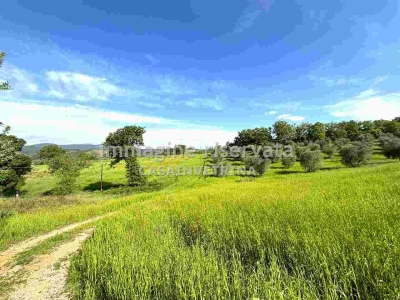 immagine annuncio 6 di 9