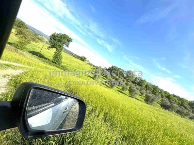 immagine annuncio 8 di 9