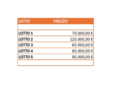 immagine annuncio 4 di 5