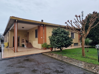immagine annuncio 3 di 9
