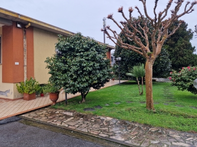 immagine annuncio 4 di 9