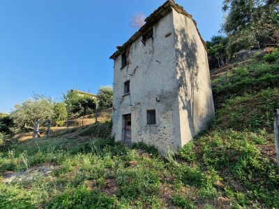 immagine annuncio 3 di 9