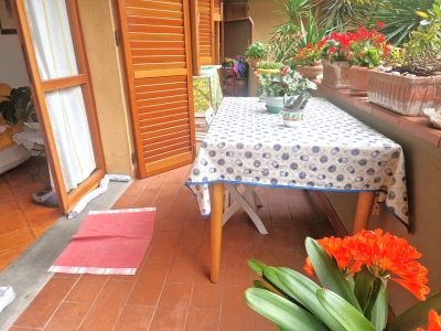 immagine annuncio 4 di 9