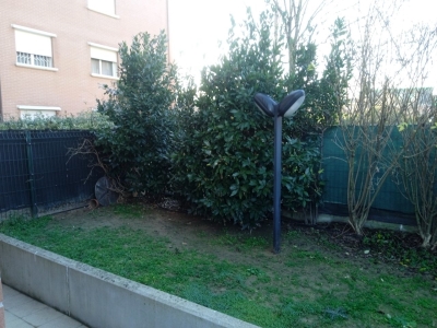 immagine annuncio 8 di 9