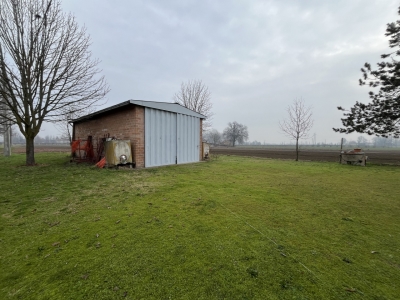 immagine annuncio 6 di 8