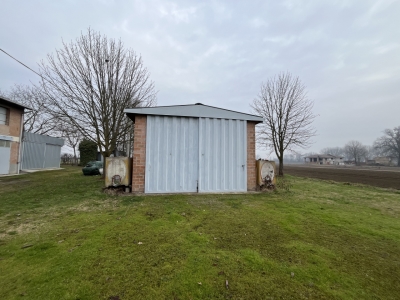 immagine annuncio 5 di 8