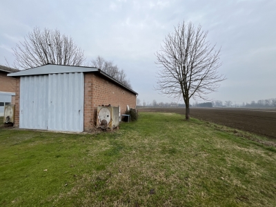 immagine annuncio 4 di 8