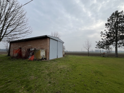 immagine annuncio 7 di 8