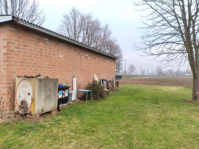 immagine annuncio 2 di 8