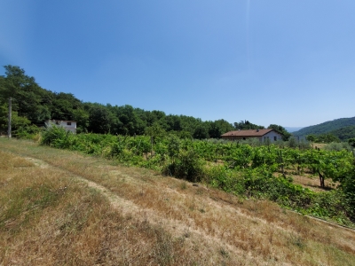 immagine annuncio 4 di 9