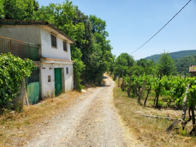 immagine annuncio 5 di 9