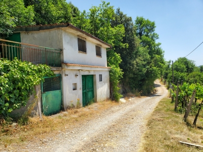 immagine annuncio 6 di 9