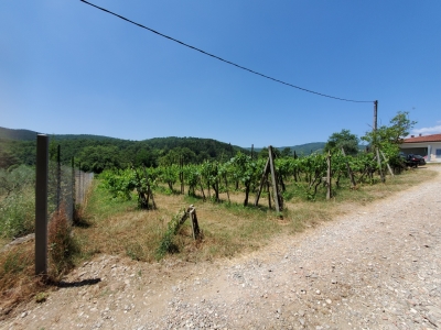 immagine annuncio 7 di 9