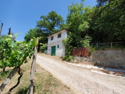 immagine annuncio 8 di 9