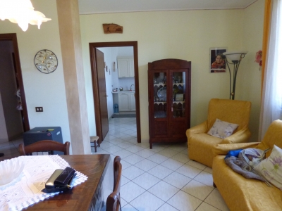 immagine annuncio 1 di 9