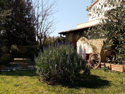 immagine annuncio 2 di 9