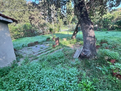 immagine annuncio 6 di 8