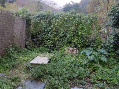 immagine annuncio 3 di 9