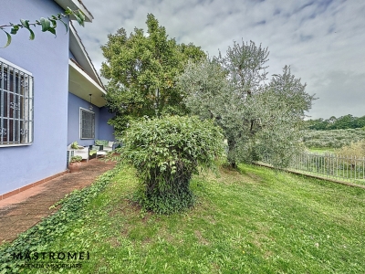 immagine annuncio 3 di 9