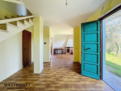 immagine annuncio 8 di 9