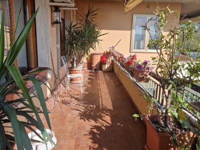 immagine annuncio 2 di 7