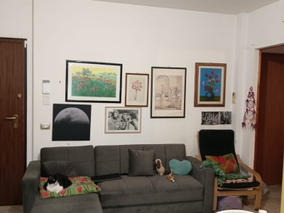immagine annuncio 7 di 9