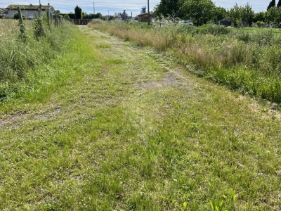 immagine annuncio 1 di 7