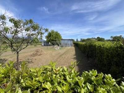 immagine annuncio 3 di 7