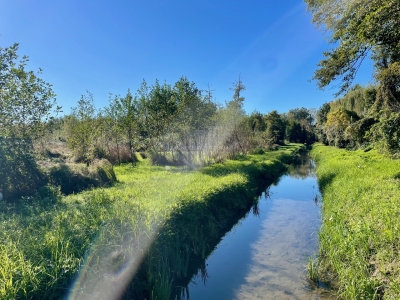 immagine annuncio 2 di 9