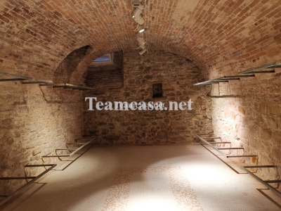 immagine annuncio 7 di 9