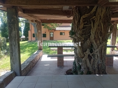 immagine annuncio 3 di 9