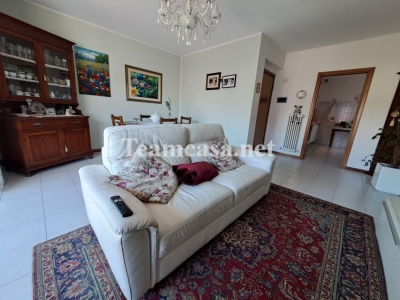 immagine annuncio 4 di 9